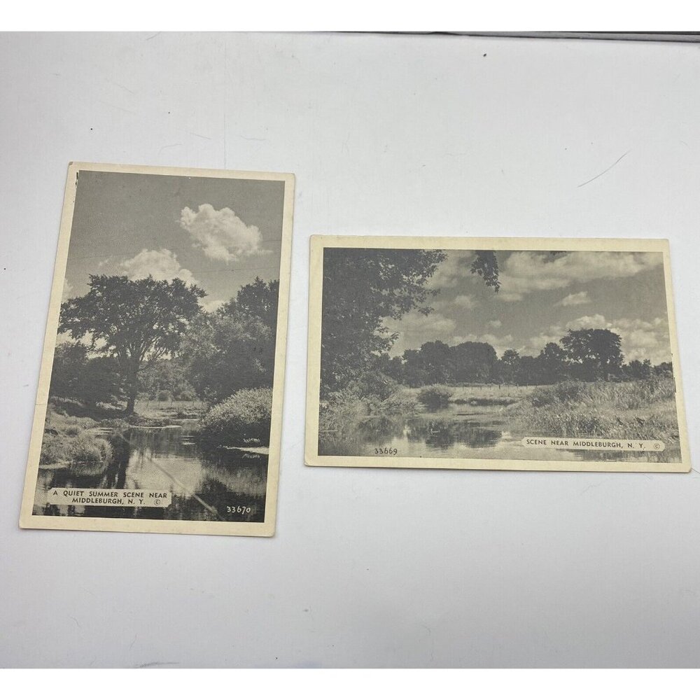 Vtg NY Postcard Quiet‎ Summer Scene Near Middleburgh lot RPPC White Border 1940s